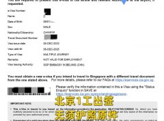 新加坡兩年多次旅游簽證1工出簽！